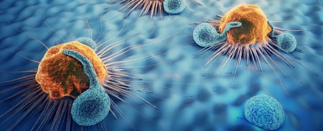 noticia-content-topo_nobel_medicina.jpg