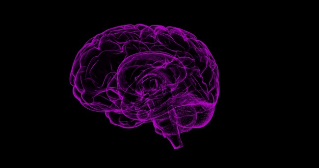 noticia-content-brain_pink.jpg