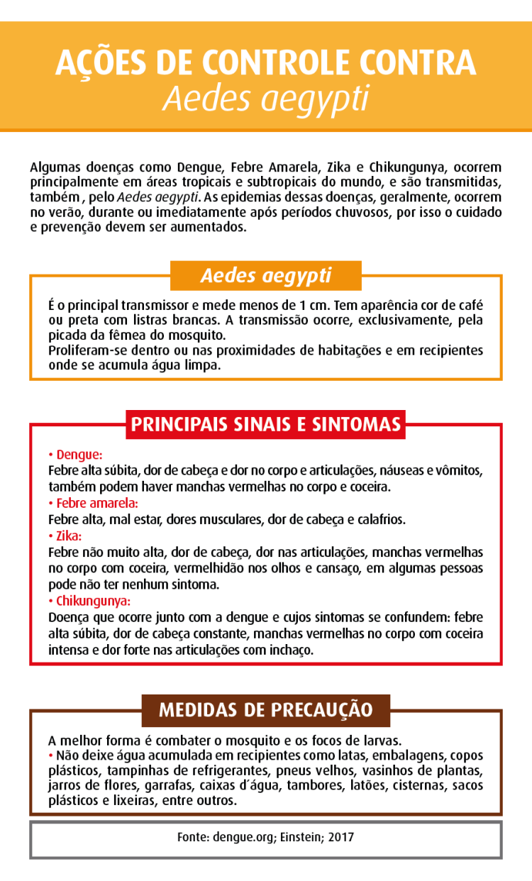 noticia-content-acaoverao_3.png
