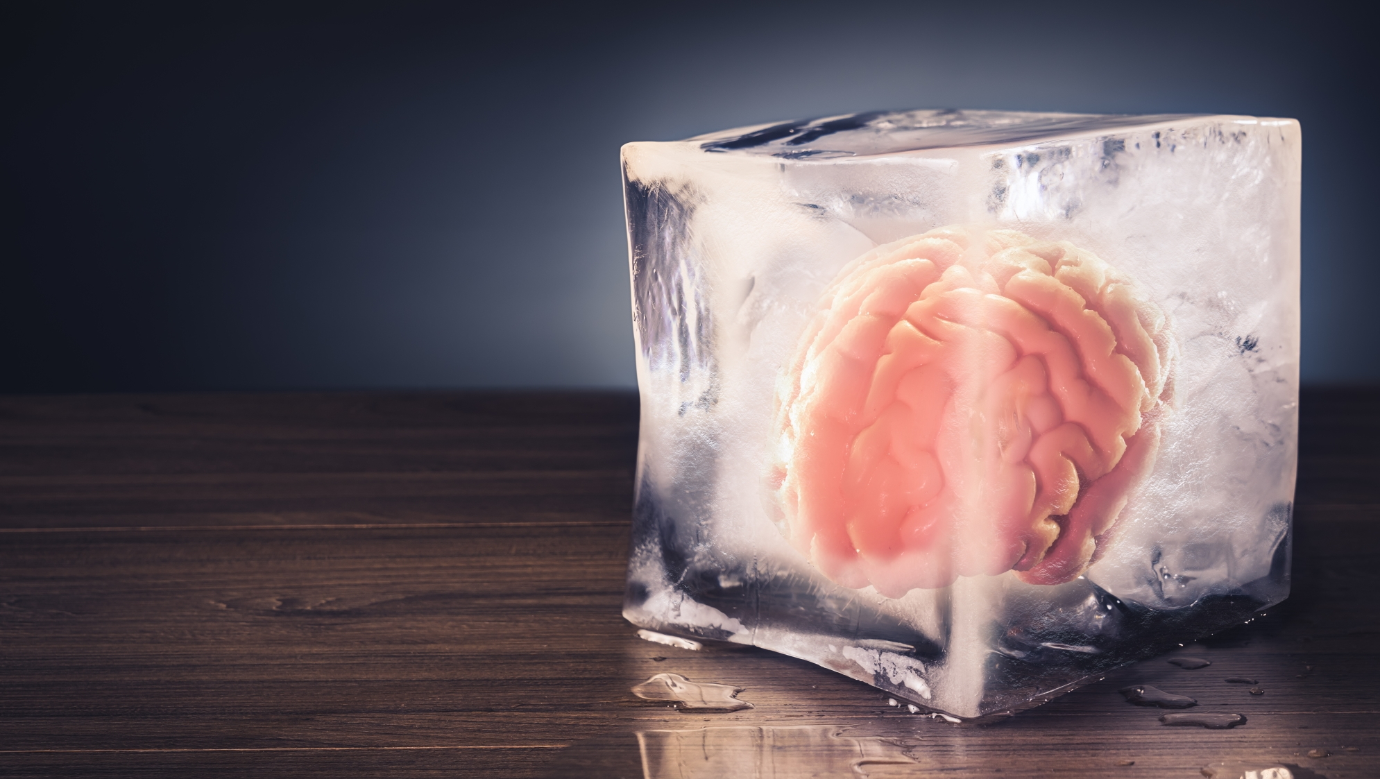 noticia-content-celebs-want-cryogenically-frozen-death.jpg