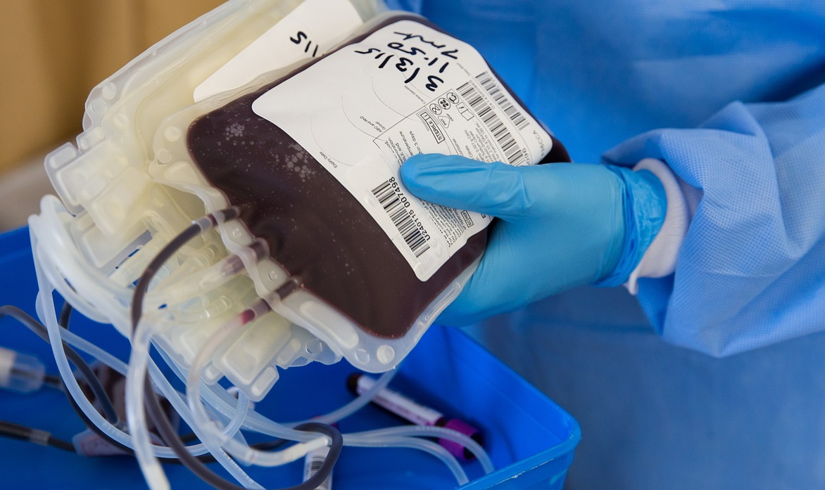 noticia-content-sangue.jpg